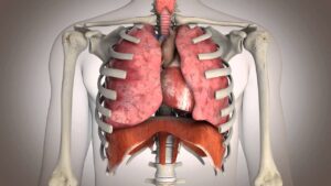 diaphragme bloqué