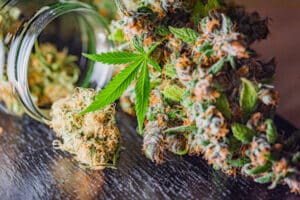 fleurs de cbd et dépression