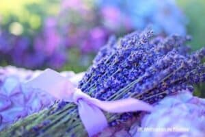 Hypnose et Aromathérapie